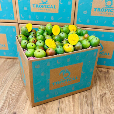Sugar Mango Box GoogleON Tropical Fruit Box Large (8 lbs)